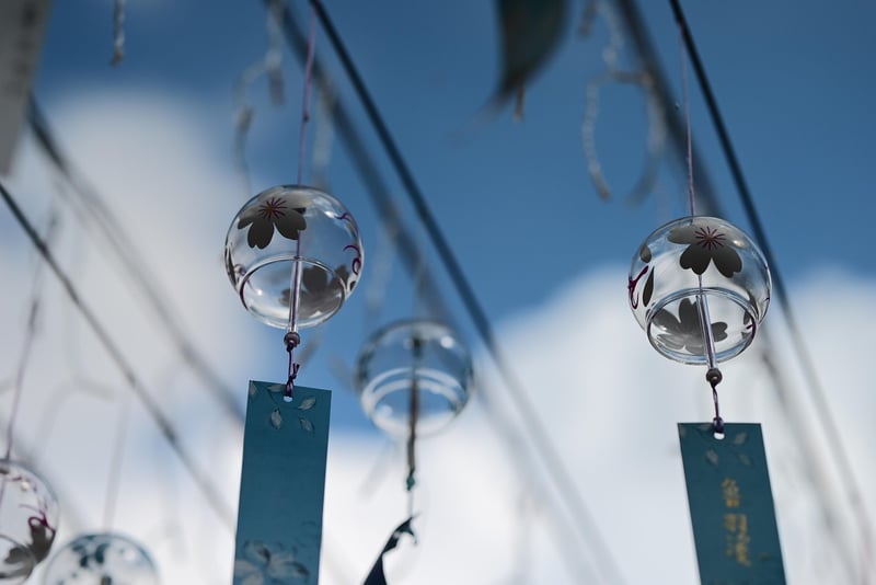Enchanted Displays